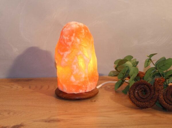 HIMALAYA SALT DREAMS Beleuchteter Salzkristall mit Holzsockel